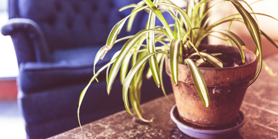 Considerations for Getting Started With a New Client