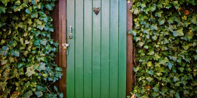 When One Door Closes… My Journey to Becoming a Virtual Assistant