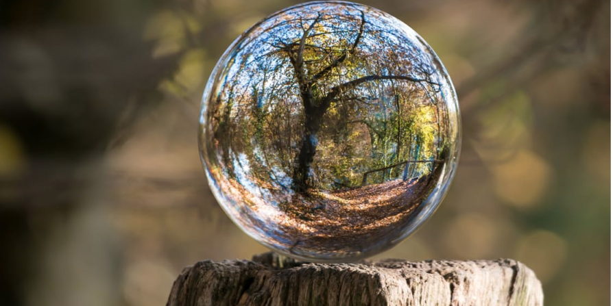 What Can Buddhism Teach You About Running Your Business?